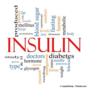 Insulin produzierenden Zellen